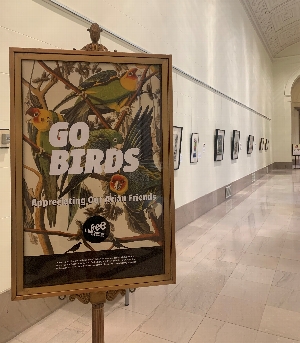 Go Birds Tailgate: Exhibition open house 